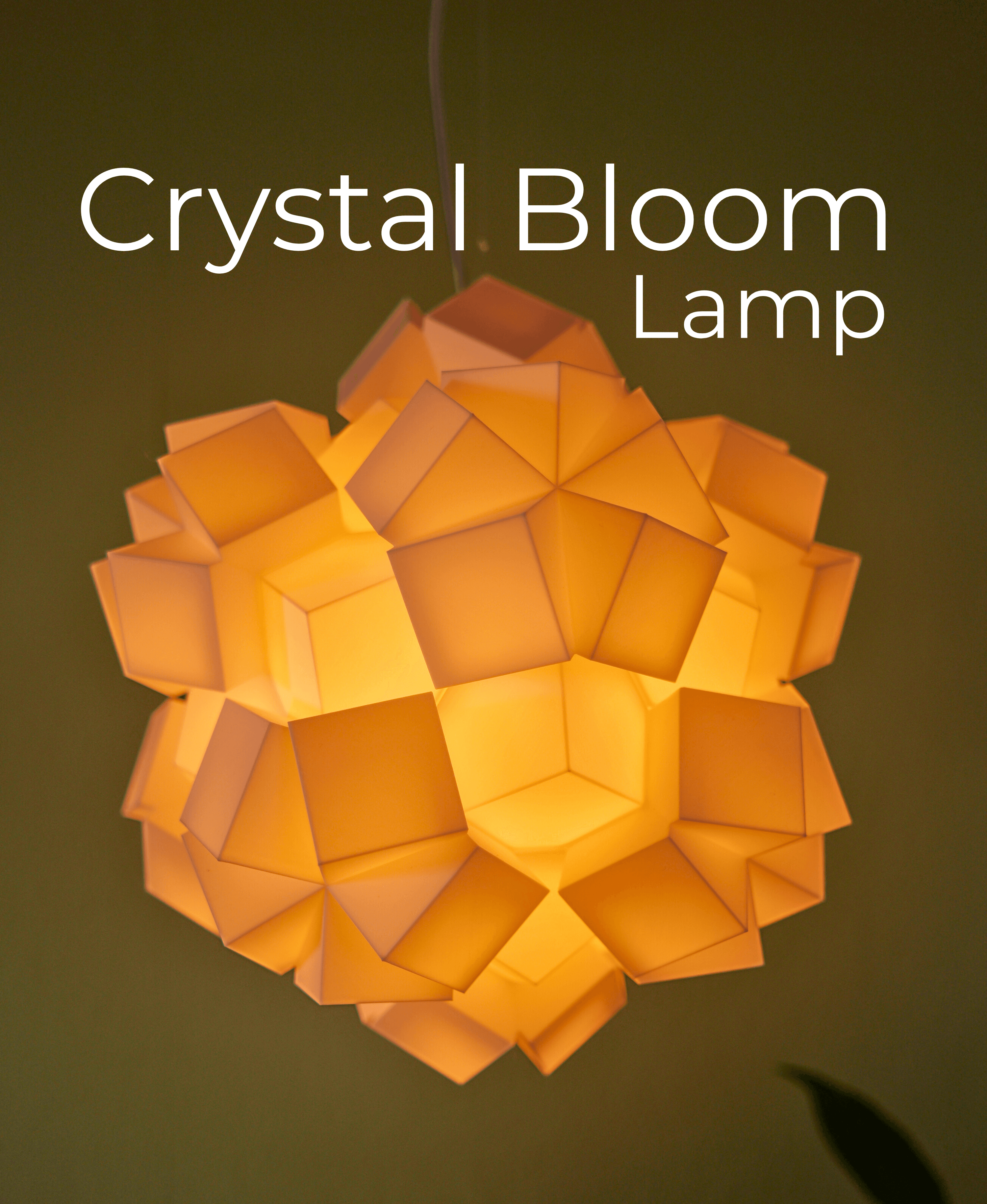 Crystal Bloom Lamp for the Ceiling 3d model