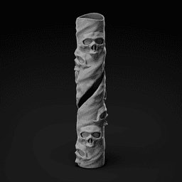 Kiwi Spark Skull Cover 3d model