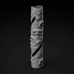 Kiwi Spark Skull Cover 3d model