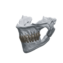 Hollow Mask 2.stl 3d model