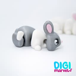 Tiny Rabbits Flexi + Keychain 3d model