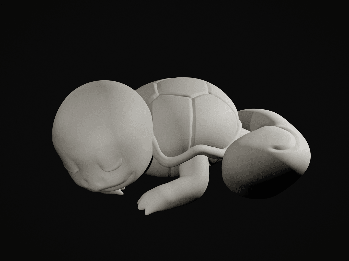 Sleepy Squirtle 3d model