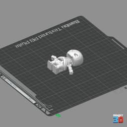 3D Printable Skullboy.3mf 3d model