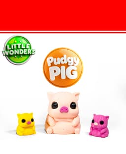 Pudgy Pig. 3d model