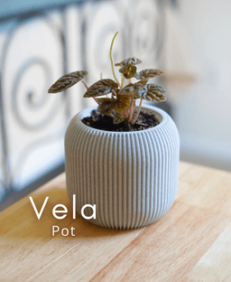 Vela Pot 3d model