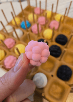 Waffle Bouncy Connect Four 3d model