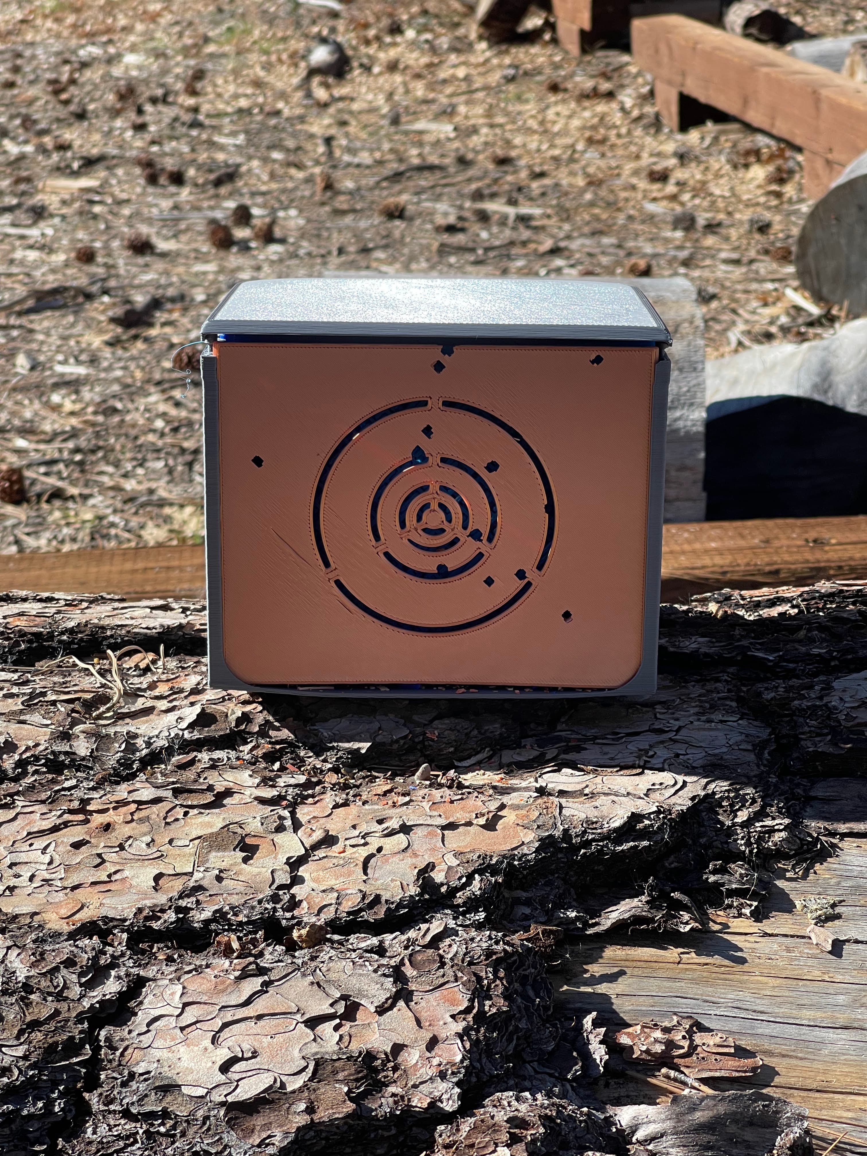 BB Capture Target 3d model