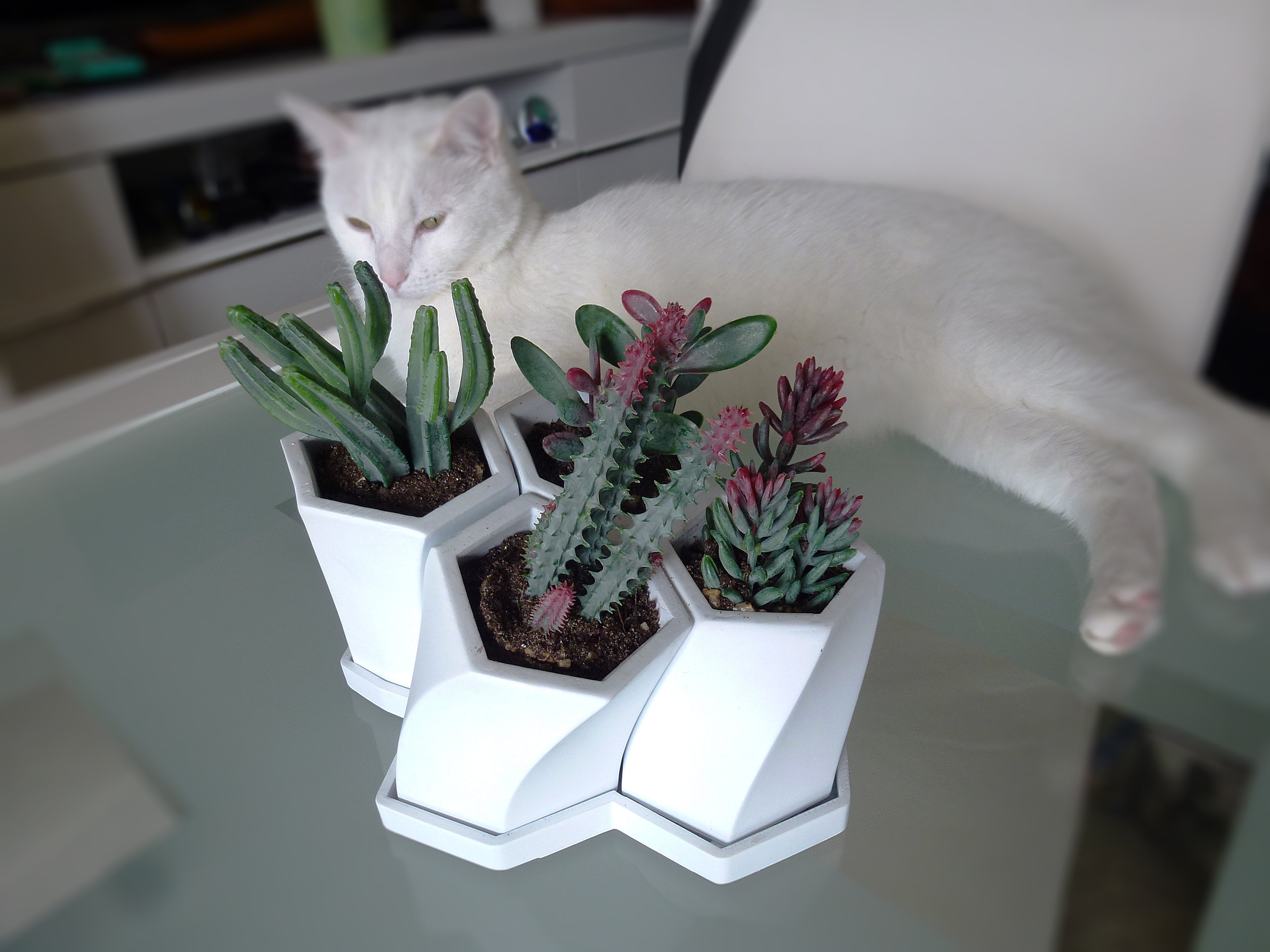 Honeycomb Planter 3d model