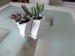 Honeycomb Planter 3d model