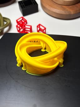 THE INFINITE KNOT MARBLE LOOPER 3d model