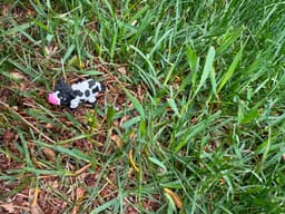 Moocow.3mf 3d model