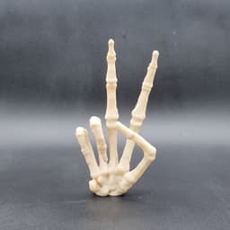 SKELETON HAND PEACE SIGN 3d model
