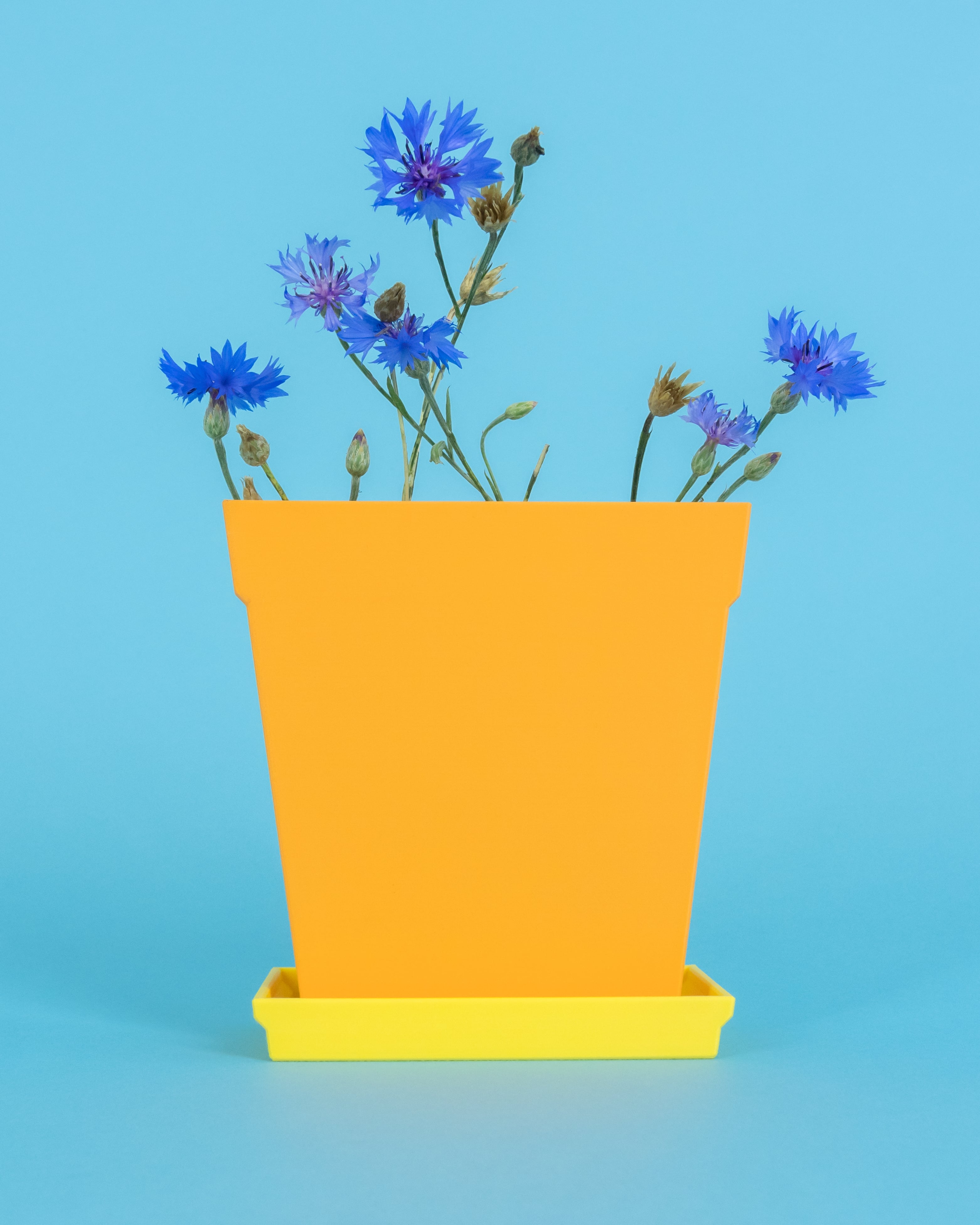 Flatland // Classic Pot 3d model