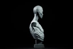 Broken Will 3d model