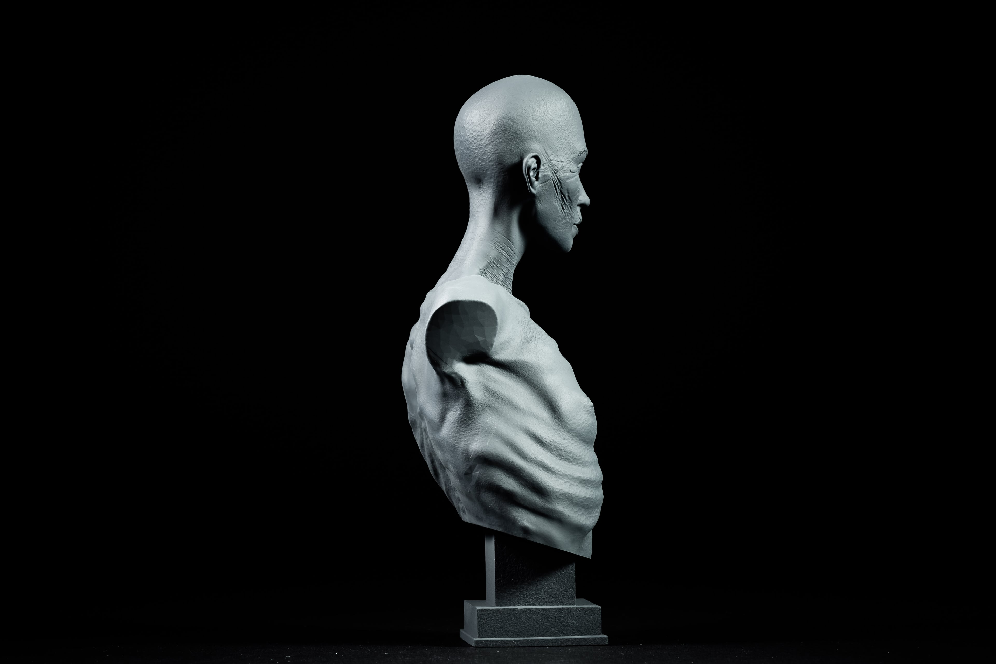 Broken Will 3d model