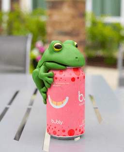 Fizzy Frog - Frog Can Cover 3d model
