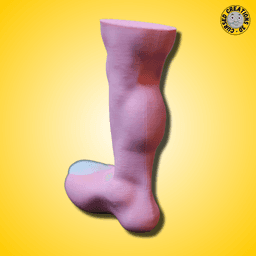Toe Foot 3d model