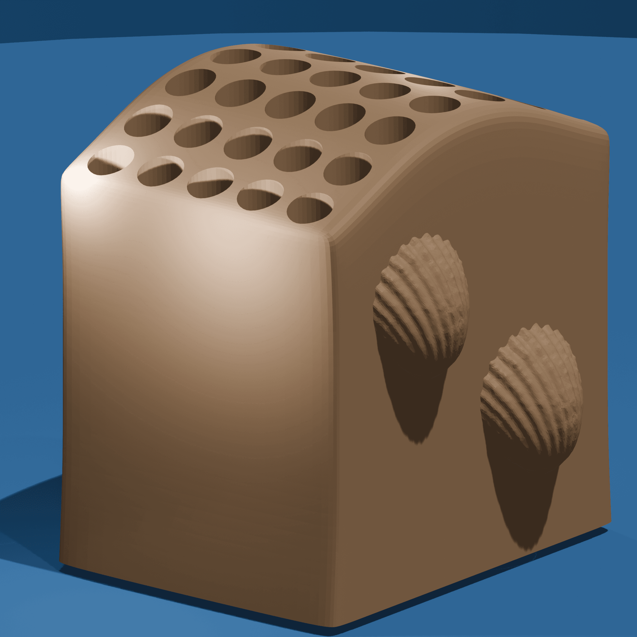 Sea Shell Cubby 3d model