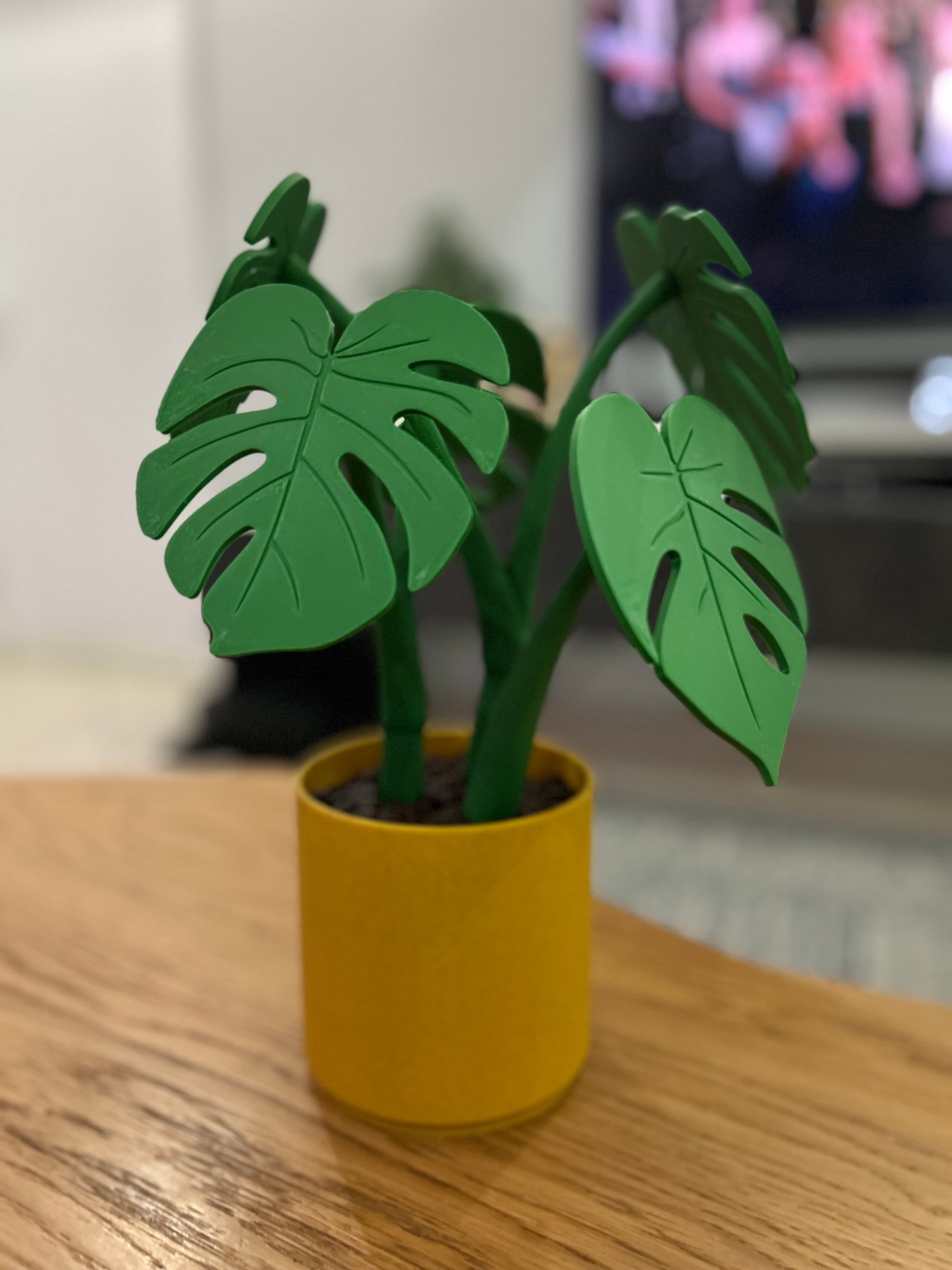 Very nice model. AliExpress magnets I’ve got are weak, but work any way.
I would love to have an optional model to print the white/green leaf with a single extruder printer