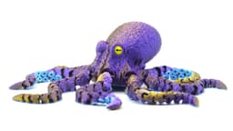 Octopus 2.0 3d model