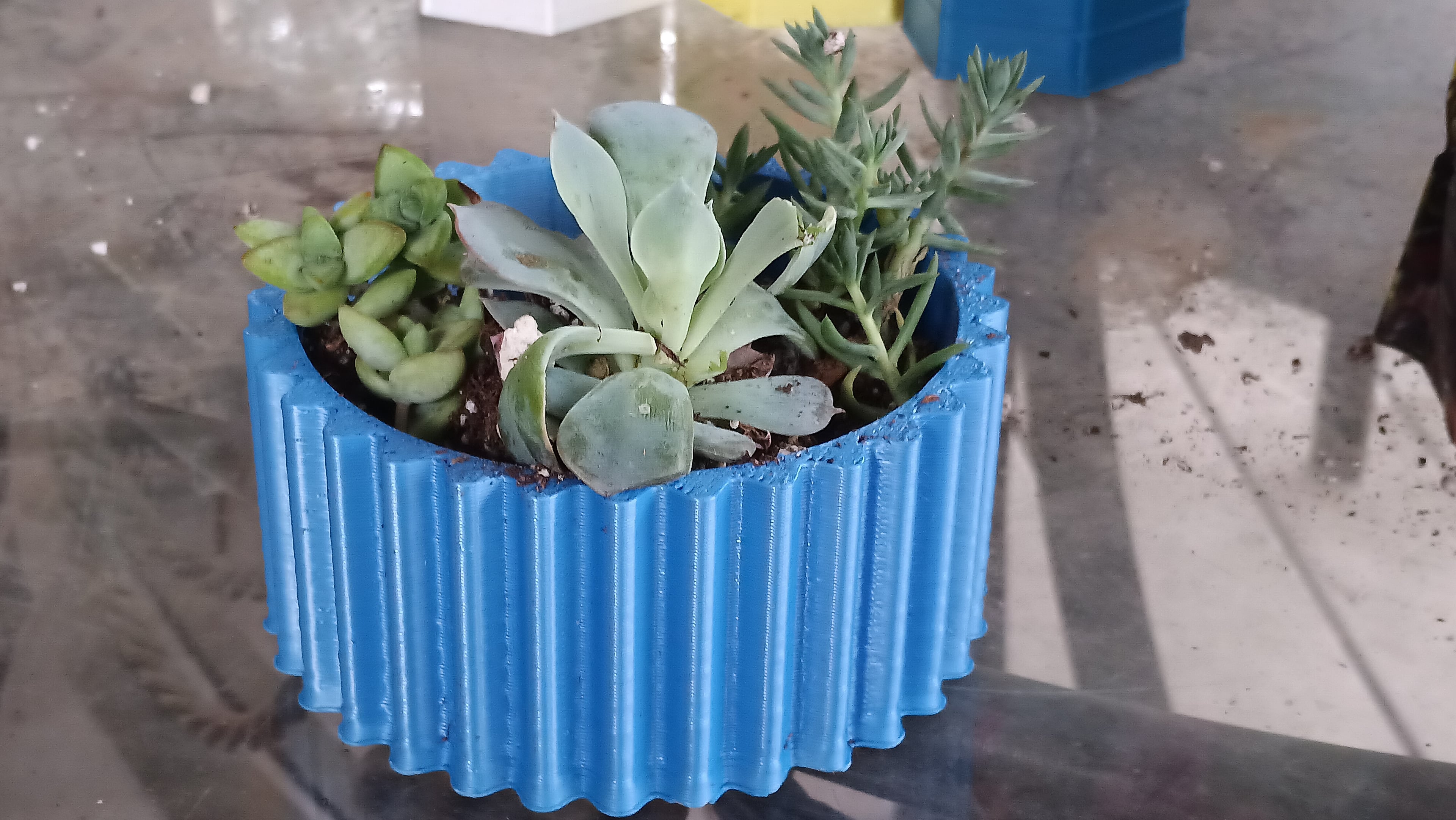 Currogated Succulent Pot 3d model