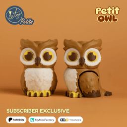 Petit Owl 3d model