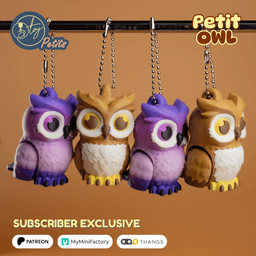 Petit Owl 3d model