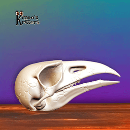 Prehistoric Bird Skull Desert Predator Home Decor 3d model