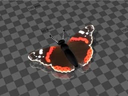 butterfly / schmetterling 3d model
