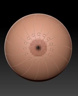 Boobie Spiral Twist Fidget 3d model