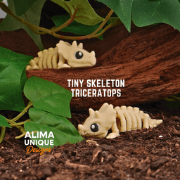 Tiny Skeleton Triceratops 3d model