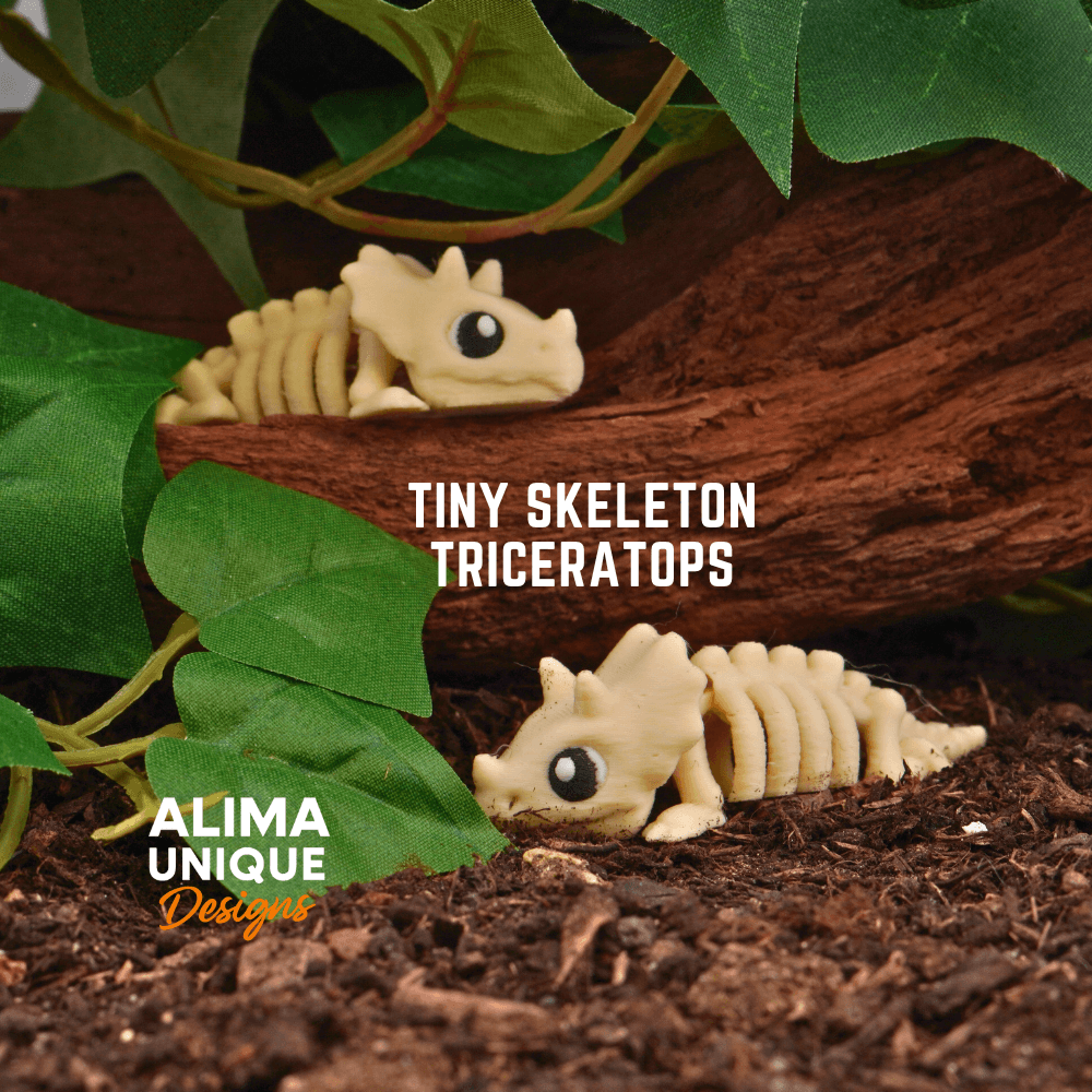 Tiny Skeleton Triceratops 3d model