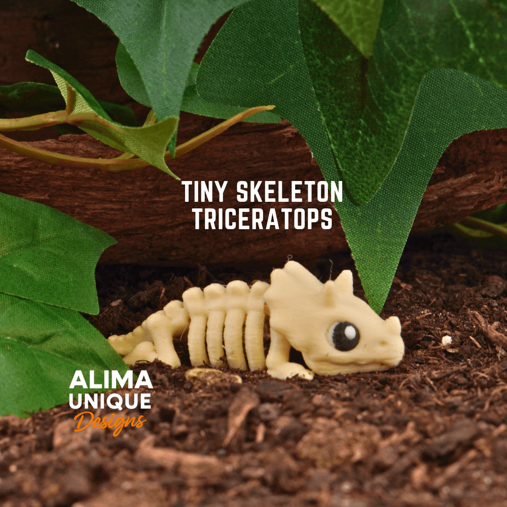 Tiny Skeleton Triceratops 3d model