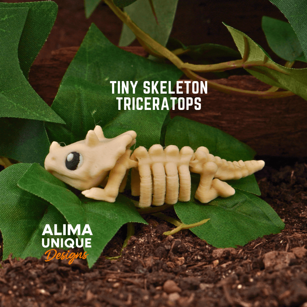 Tiny Skeleton Triceratops 3d model