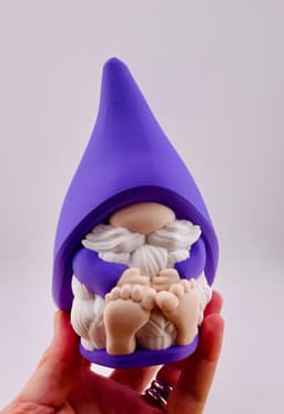 Shy Guy Gnome Set 3d model
