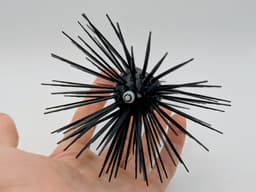 Sea Urchin whit TPU Prick 3d model