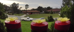 Ring Camera Hummingbird Feeder 3d model