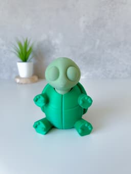 Clicky Turtle 3d model