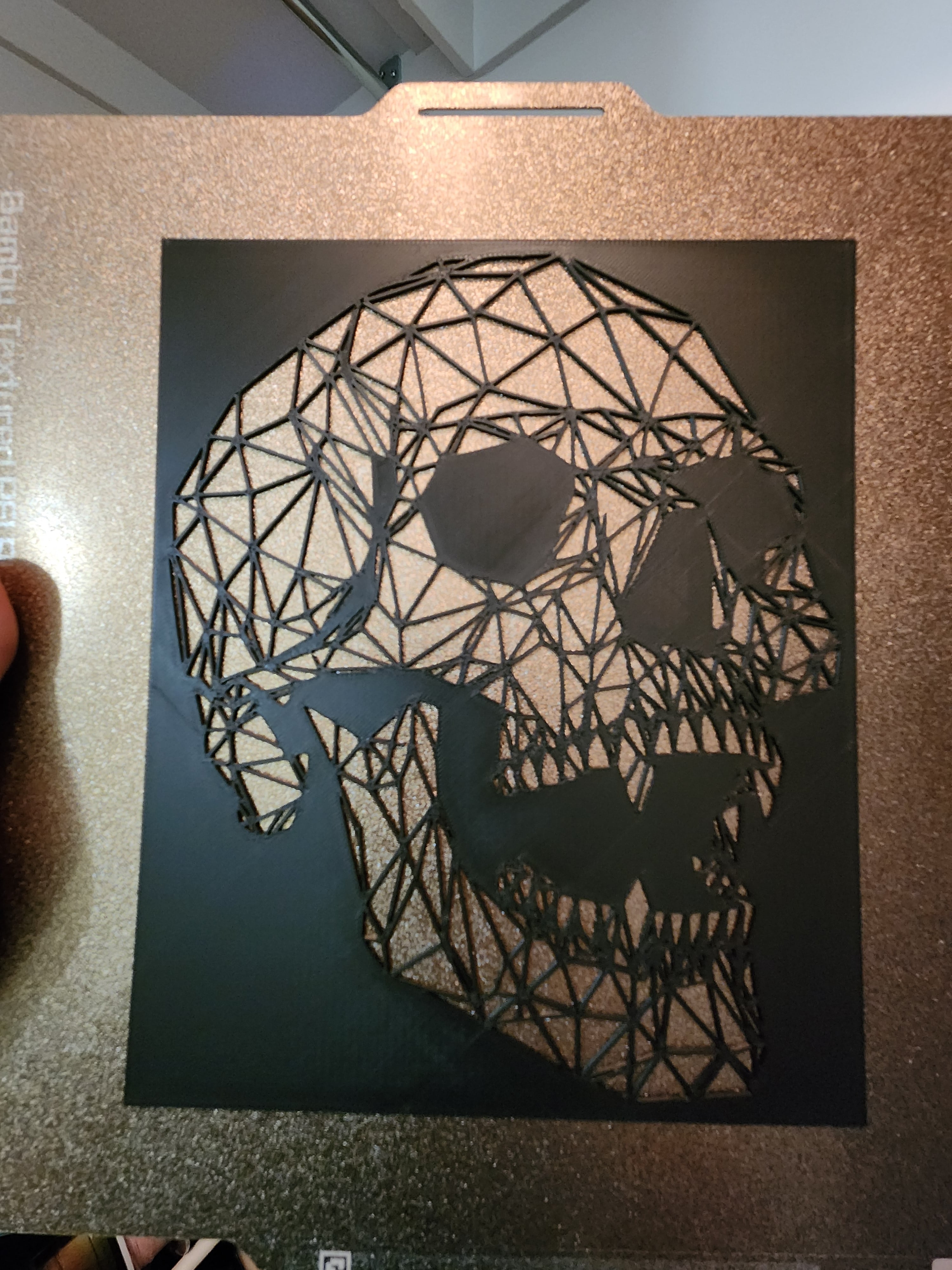 Vampire Skull 3d model