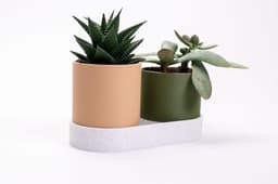Connected Planter 3d model