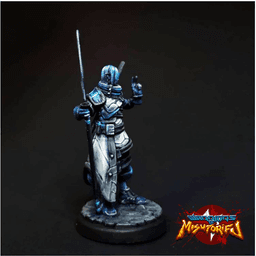 Elanon Silverwind - Elf Shinobi Wizard 3d model