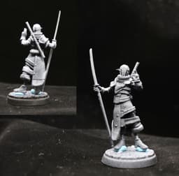 Elanon Silverwind - Elf Shinobi Wizard 3d model