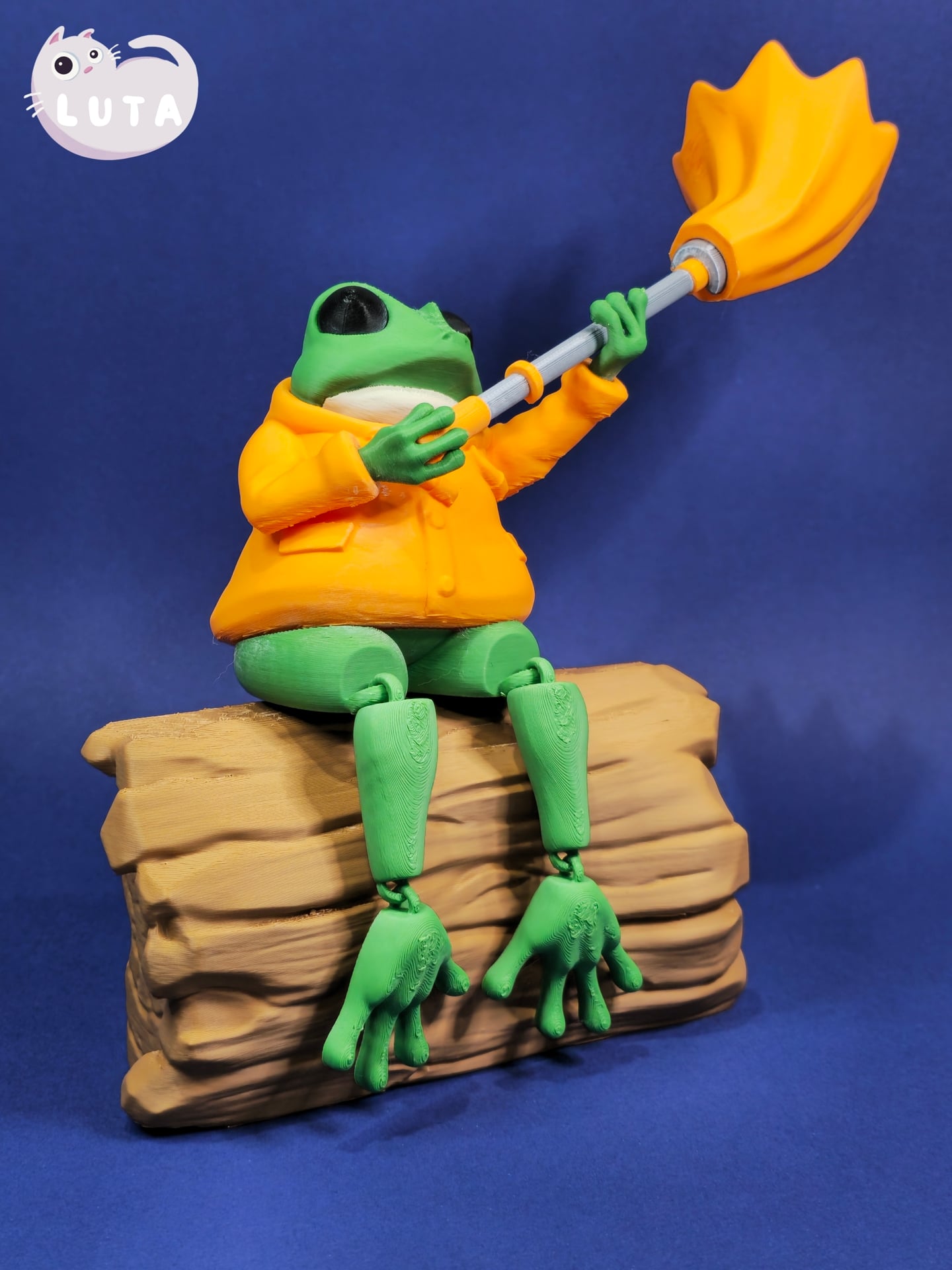 Fox Raincoat Frog 3d model
