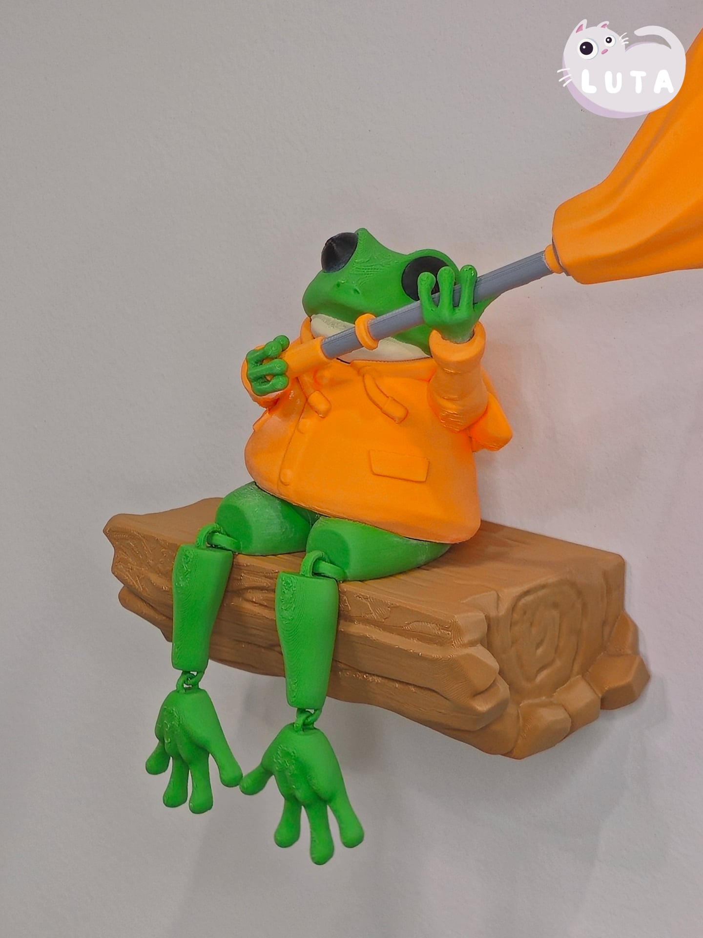 Fox Raincoat Frog 3d model