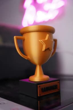 WINNER Trophy - Multipart 3d model