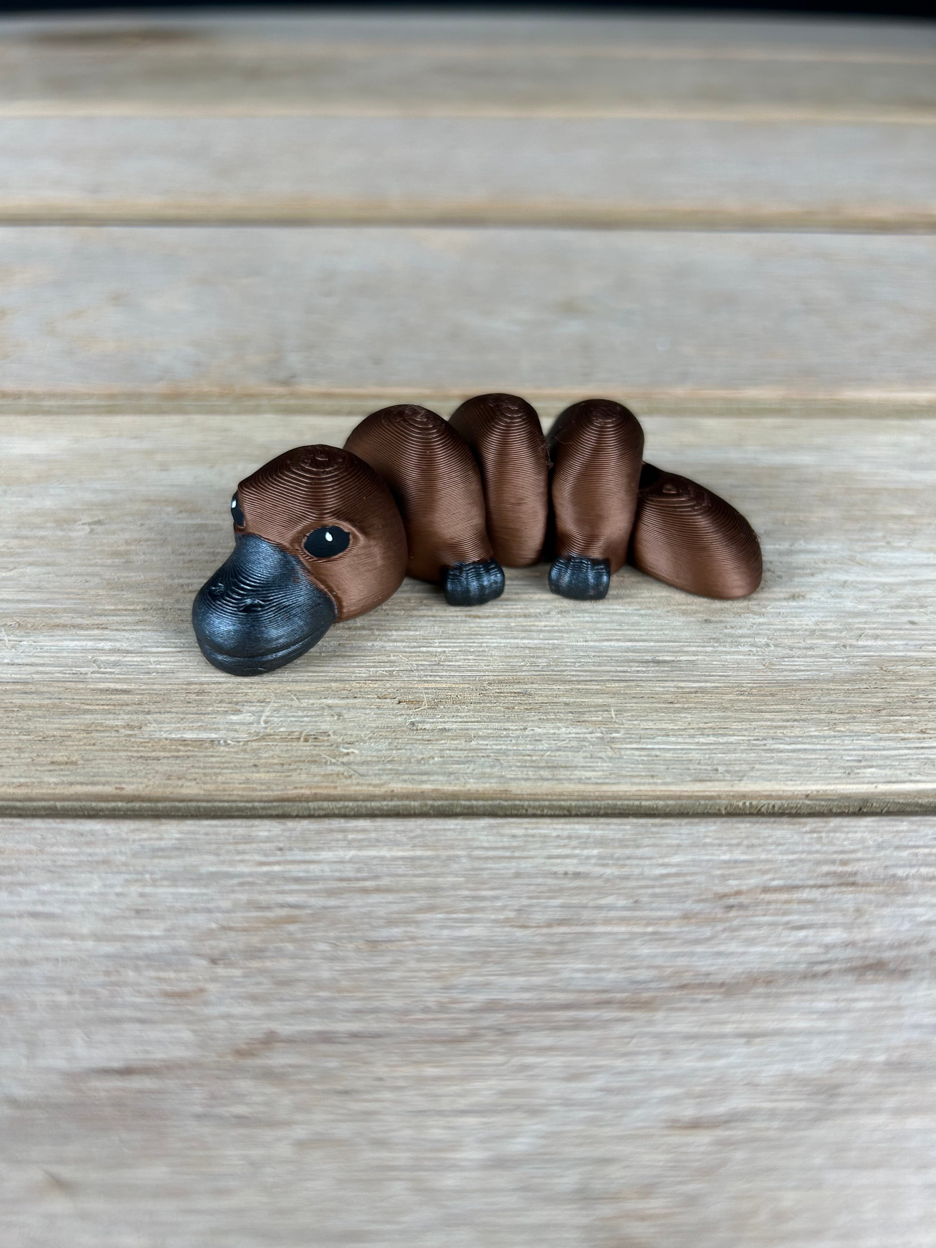 Platypus Fidget V3 3d model