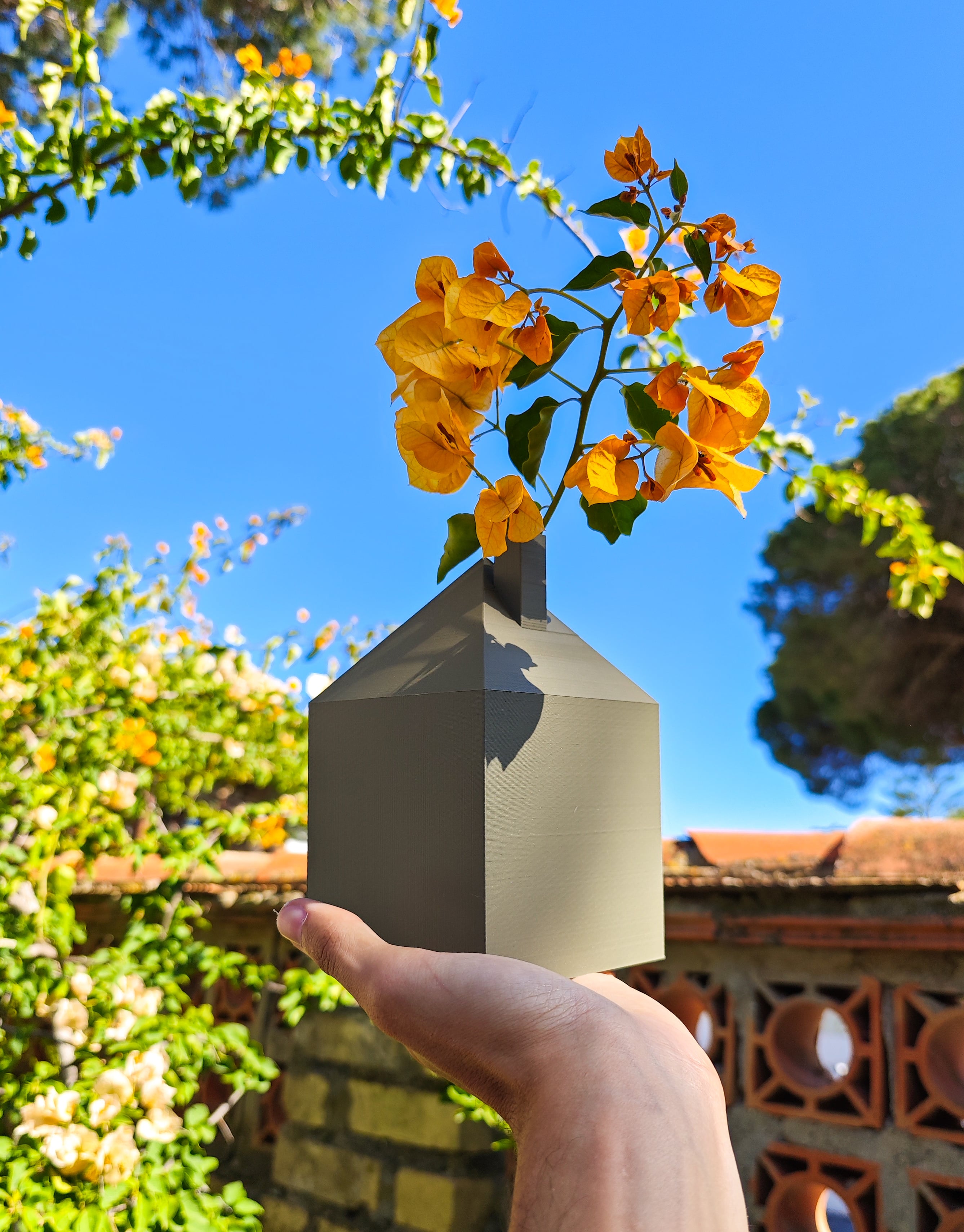 Flome V1 3d model