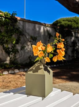 Flome V1 3d model