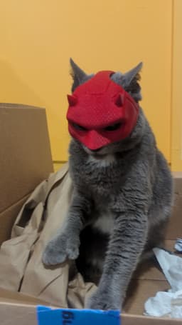 Daredevil Cat Cowl 3d model