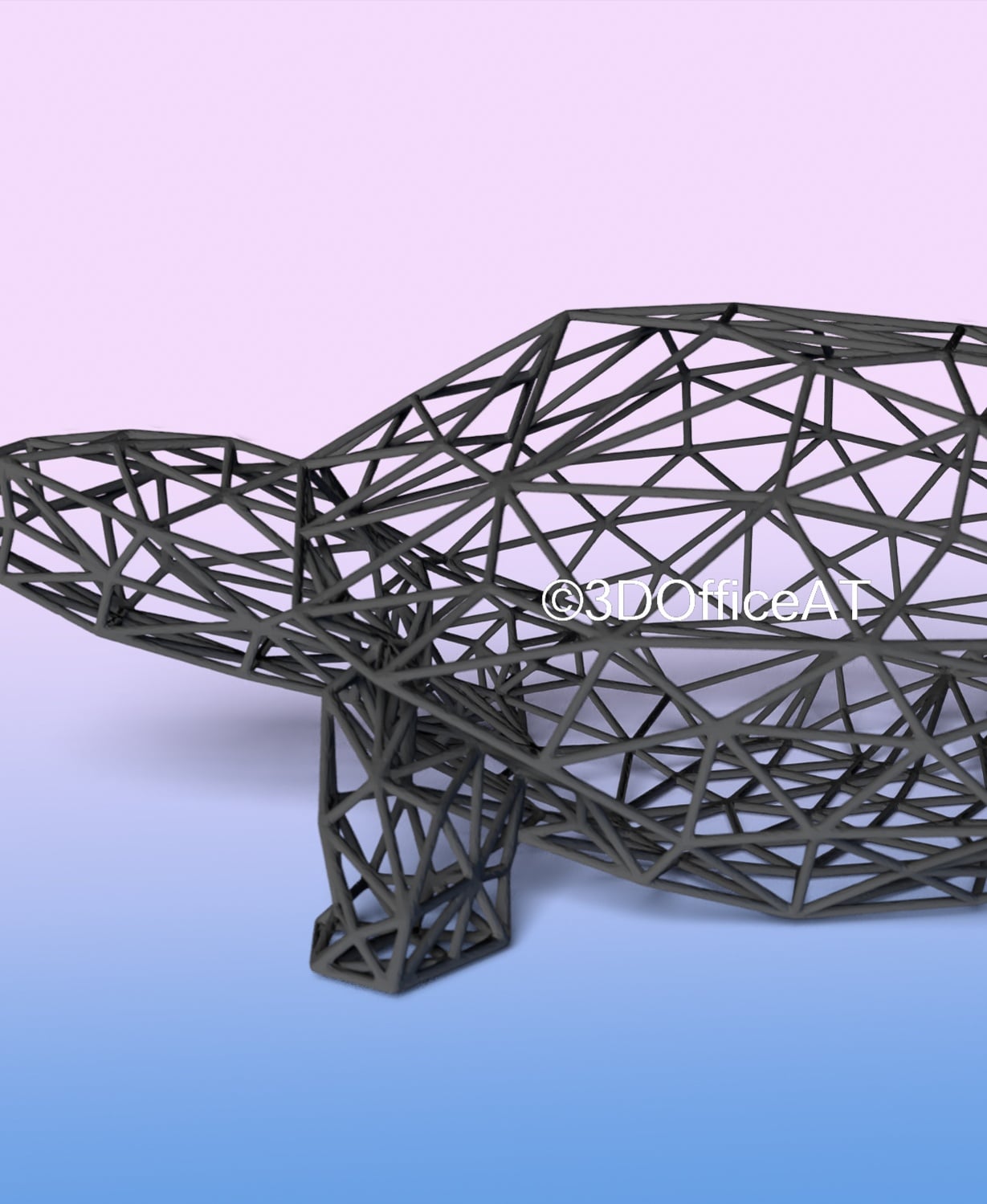 Turtle Wire Art 3d model